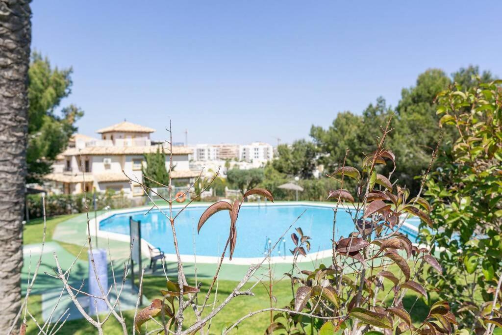 Casa Lilly-Rose, A Beautiful 3 Bedroom Detached Villa A Short Walk To The Villamartin Plaza & Golf Course 외부 사진